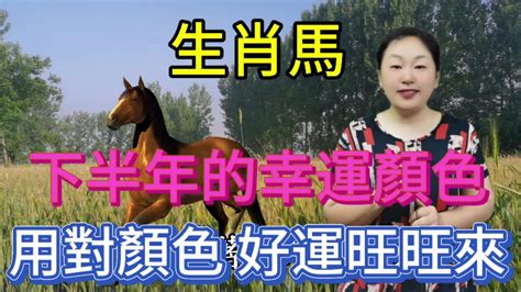 生肖馬顏色|【馬幸運色】馬兒奔赴好運！必收藏的2024年屬馬幸。